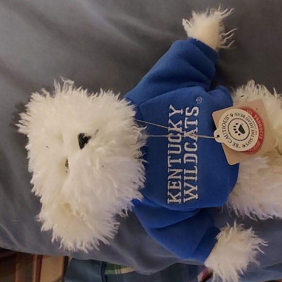 Kentucky boyds bear - Picture 2 of 2
